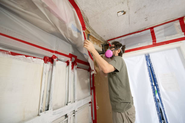 Best HVAC Mold Inspection and Cleaning  in Belleville, PA