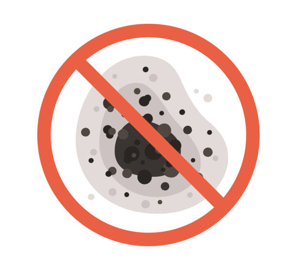 Best Dehumidification Services  in Belleville, PA