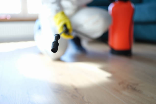 Best Mold Damage Restoration  in Belleville, PA