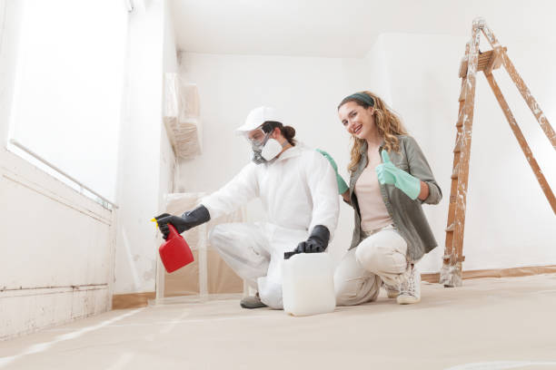 Belleville, PA Mold Removal Company