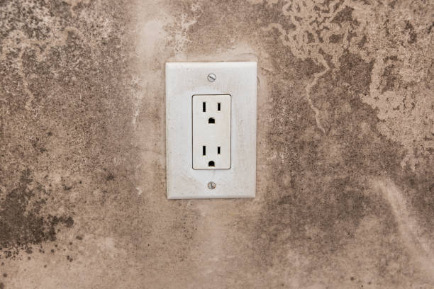 Best Mold Odor Removal Services  in Belleville, PA
